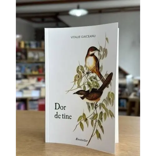Dor de tine